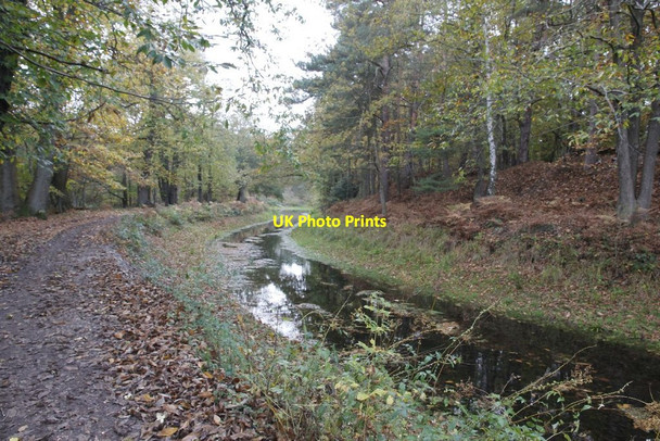 Photo 6"x4" More of the canal Pirbright Camp c2012