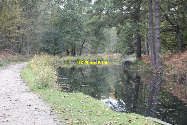 Photo 6"x4" End of the walk Pirbright Camp c2012