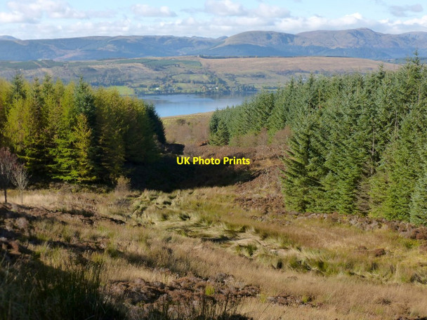 Photo 6"x4" Woodland above Rhu Reservoirs Rhu\/NS2684 c2012