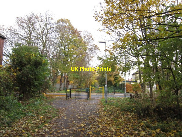 Photo 6"x4" The Trans Pennine Trail at Tweendykes Road Sutton-on-Hull c2012
