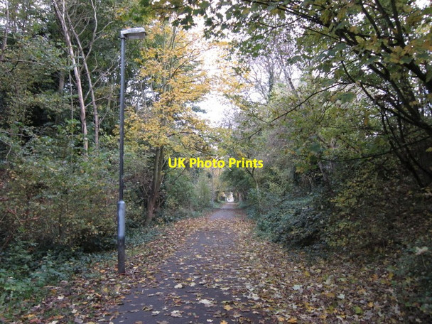 Photo 6"x4" The Trans Pennine Trail Sutton-on-Hull c2012 P1