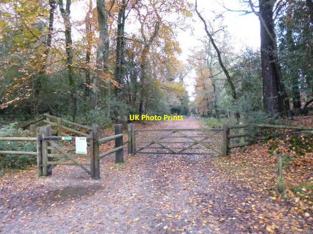 Photo 6"x4" Bolderford, gates Balmerlawn c2012