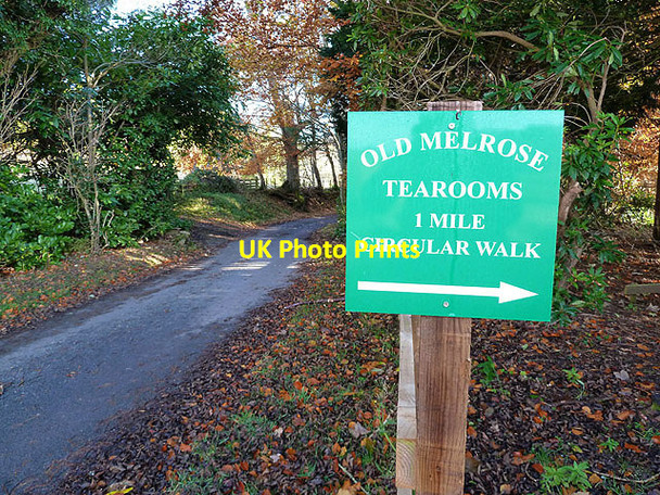 Photo 6"x4" The road to Old Melrose Bemersyde c2012