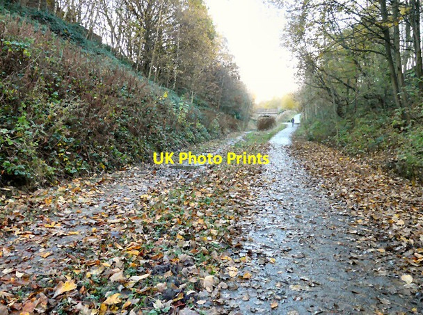 Photo 6"x4" Trans Pennine Trail Hyde\/SJ9494 c2012