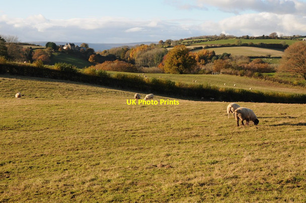 Photo 6"x4" Farmland and Upper Berthlwyd Gwehelog c2012