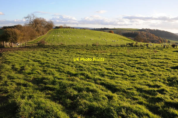 Photo 6"x4" Farmland above Bettws Newydd Bettws Newydd c2012