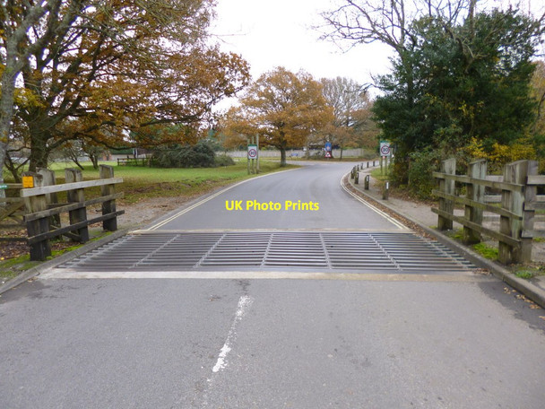 Photo 6"x4" Balmerlawn, cattle grid Balmerlawn c2012