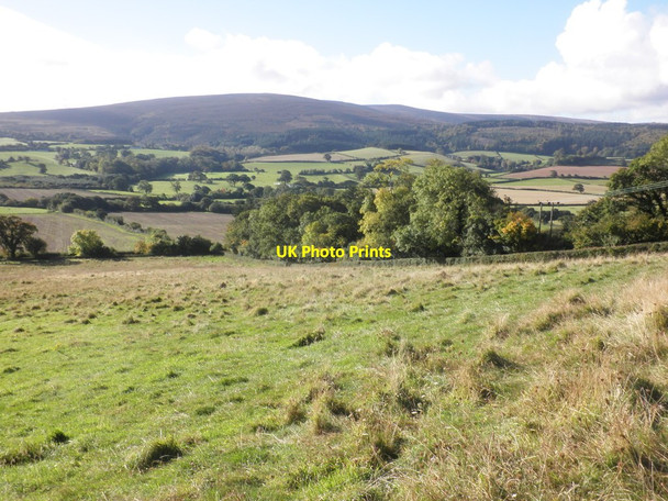 Photo 6"x4" Farmland below East Lynch Blackford\/SS9245 c2012