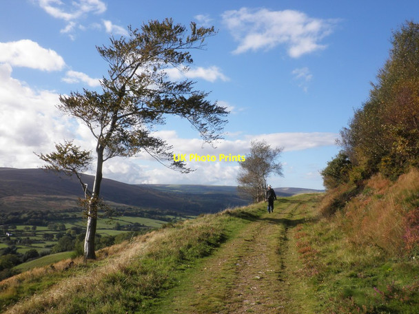 Photo 6"x4" Hillside track, above Ranscombe Cowbridge\/SS9542 c2012