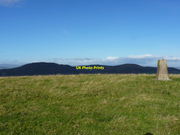 Photo 6"x4" Towards the Breidden Hills from Hargrave Bank trig Blackmore\/SJ3109 c2012