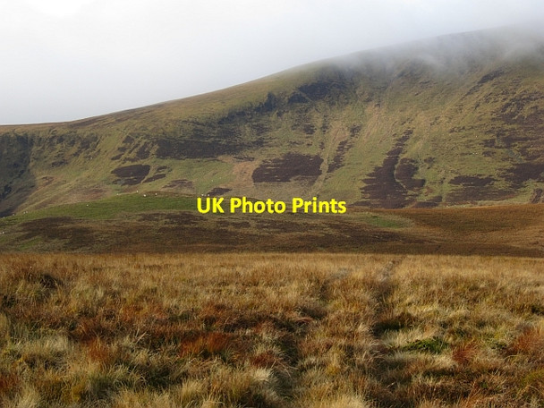 Photo 6"x4" Congrie Hill Kingledores c2012