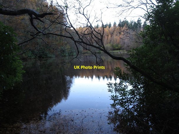 Photo 6"x4" Tollymore Lake Newcastle\/J3732 c2012