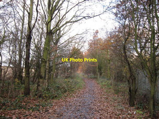 Photo 6"x4" The Trans Pennine Trail towards Notton Bridge Royston\/SE3511 c2012