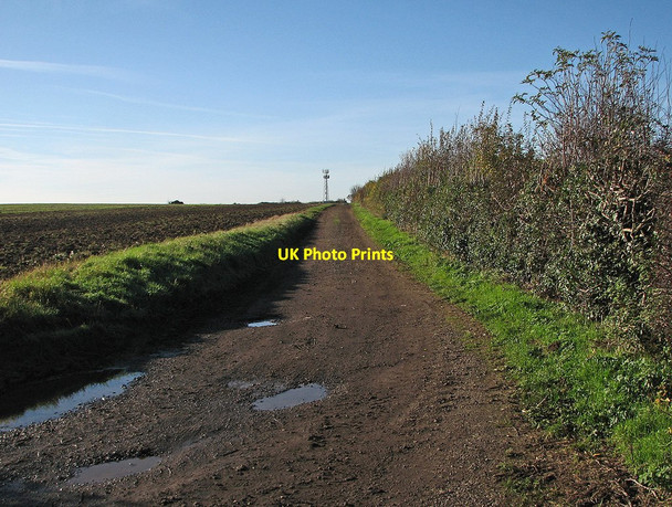 Photo 6"x4" The Drift in November Heathfield\/TL4546 c2012
