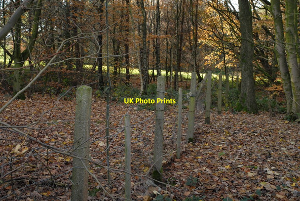 Photo 6"x4" Over the wall into the Winstanley Estate Billinge c2011