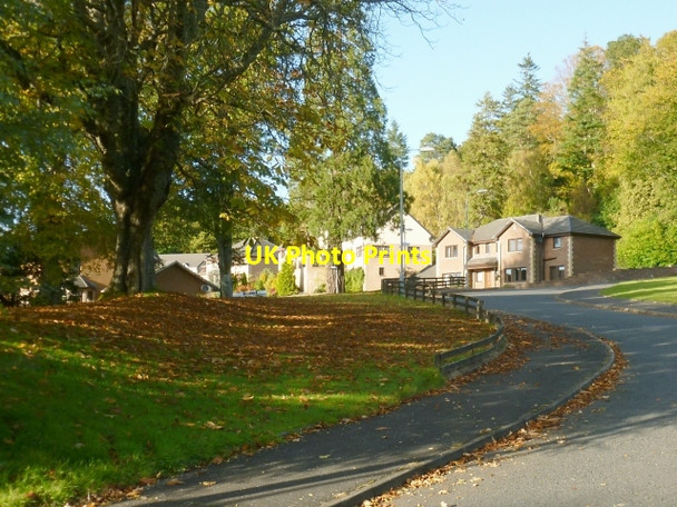 Photo 6"x4" Broomfield Gardens Rhu\/NS2684 c2012