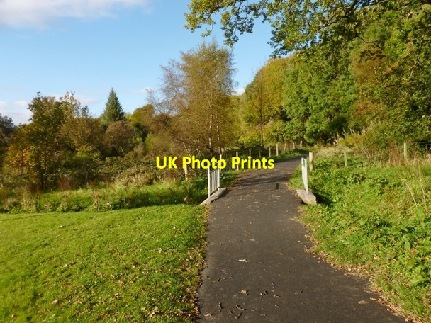 Photo 6"x4" Regional Route 42 Rhu\/NS2684 c2012 P1
