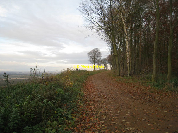 Photo 6"x4" Jubilee Way in Stathern Wood Stathern c2012