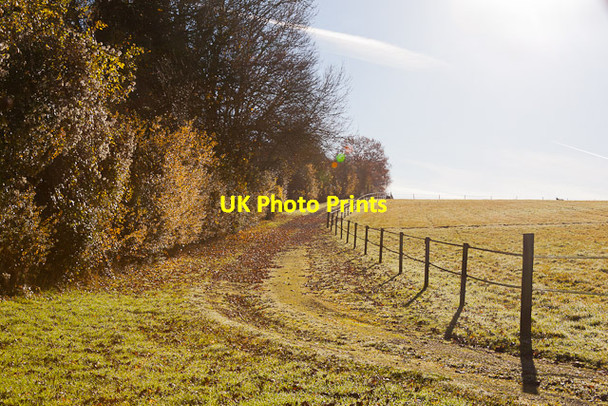 Photo 6"x4" Track on farm west of Springvale Headbourne Worthy c2012