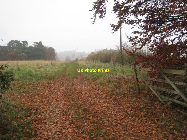 Photo 6"x4" Farm track to Nursery Plantation Knipton c2012