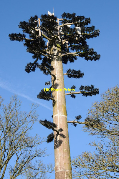 Photo 6"x4" Mobile phone mast Grendon Bishop c2012