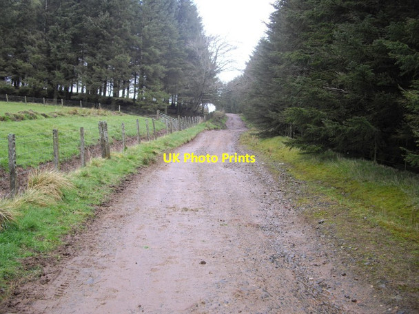 Photo 6"x4" West Linton to Carlops track West Linton c2012