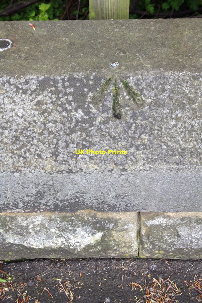 Photo 6"x4" Benchmark on Leazes Park wall Newcastle upon Tyne c2012