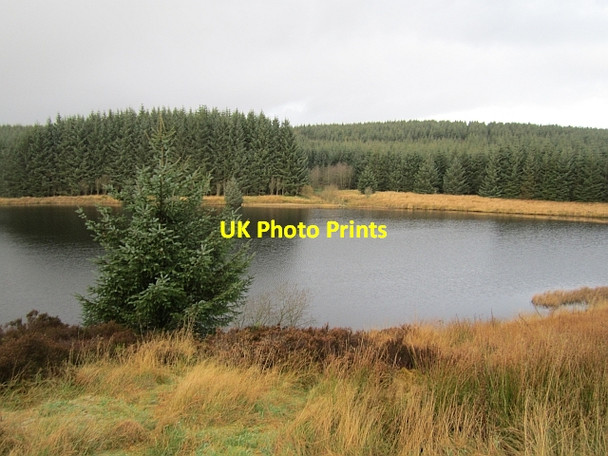 Photo 6"x4" Loch Ettrick Loch Ettrick c2012