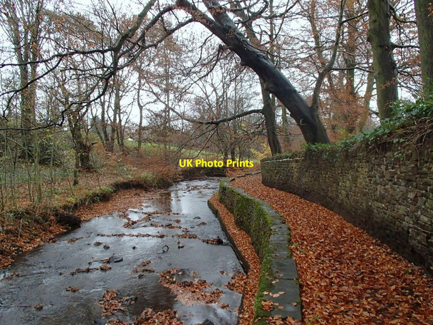 Photo 6"x4" Path by Oldhay Brook Abbeydale Park c2012