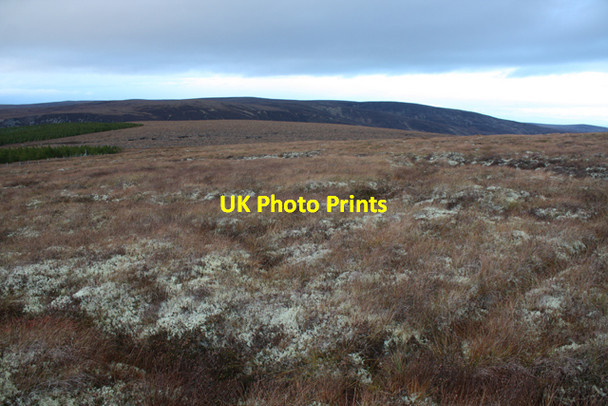 Photo 6"x4" Boggy moorland, Carn Torr Mheadhoin Ruthven\/NH8133 c2012