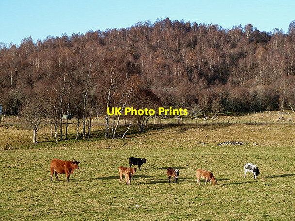 Photo 6"x4" Farmland at Chapelton Deishar c2012