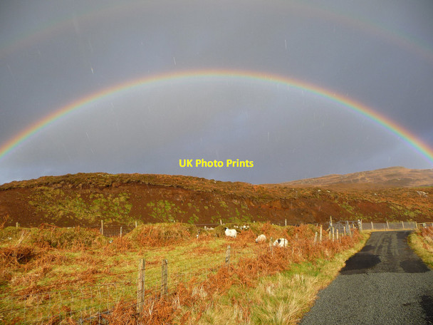 Photo 6"x4" Sheep, sunshine and sleet... Annishader c2012