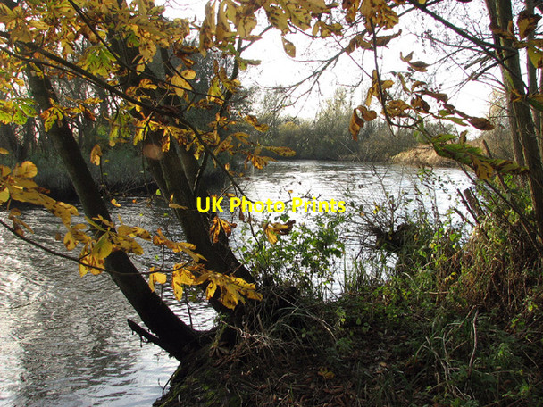 Photo 6"x4" Glimpse of the River Waveney through autumn leaves Beccles c2012