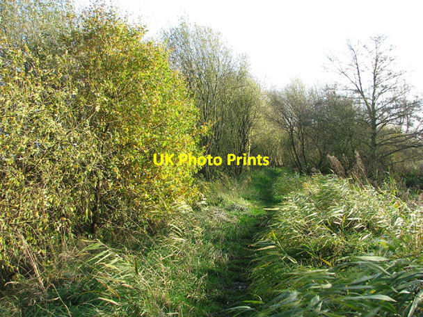 Photo 6"x4" Autumn colours on the path from Dunburgh to Beccles Beccles c2012