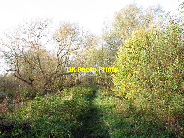 Photo 6"x4" Autumn colours on the path from Beccles to Dunburgh Beccles c2012