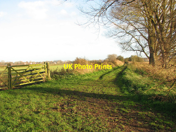 Photo 6"x4" Farm track through marsh pastures west of Beccles Beccles c2012