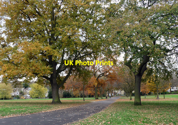 Photo 6"x4" Brockwell Park (7) Brixton\/TQ3175 c2012