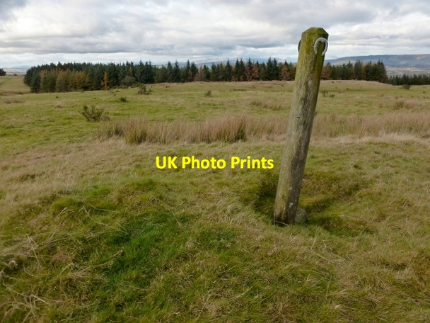 Photo 6"x4" Gleniffer Braes Country Park Foxbar c2012