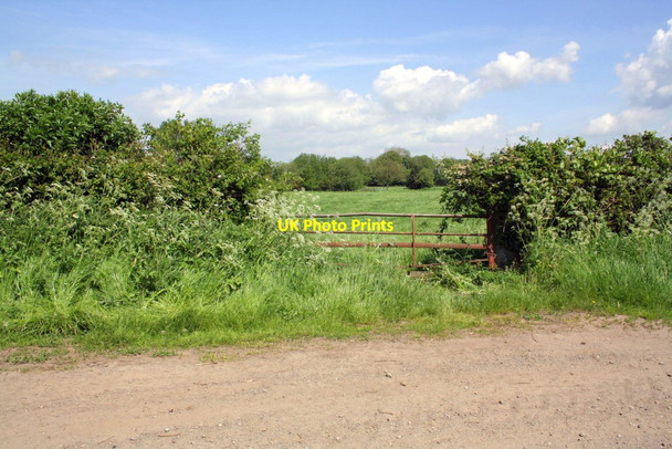 Photo 6"x4" Gateway beside road to Kirkbridge Little Crakehall c2012