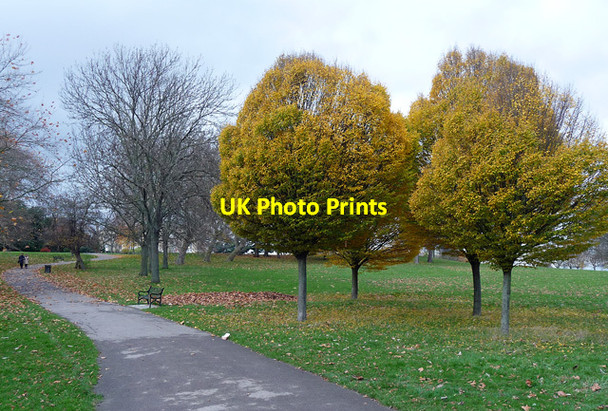Photo 6"x4" Brockwell Park (17) Brixton\/TQ3175 c2012