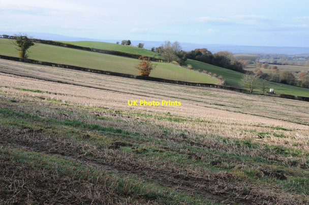 Photo 6"x4" Farmland on Hegdon Hill Grendon Bishop c2012