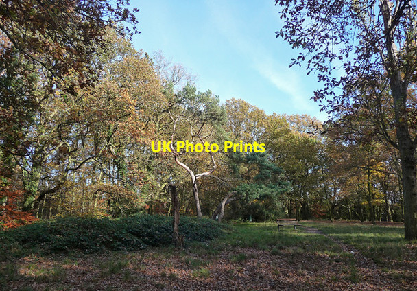 Photo 6"x4" Autumnal Streatham Common (5) Streatham c2012