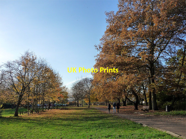 Photo 6"x4" Autumnal Streatham Common (10) Streatham c2012