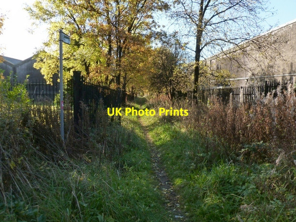 Photo 6"x4" Path to the Dumbuck Hotel Dumbarton c2012