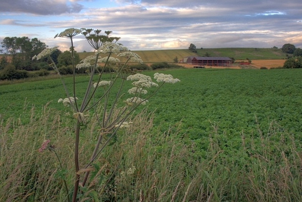 Photo 6"x4" Browson Bank Farm Hutton Magna c2008