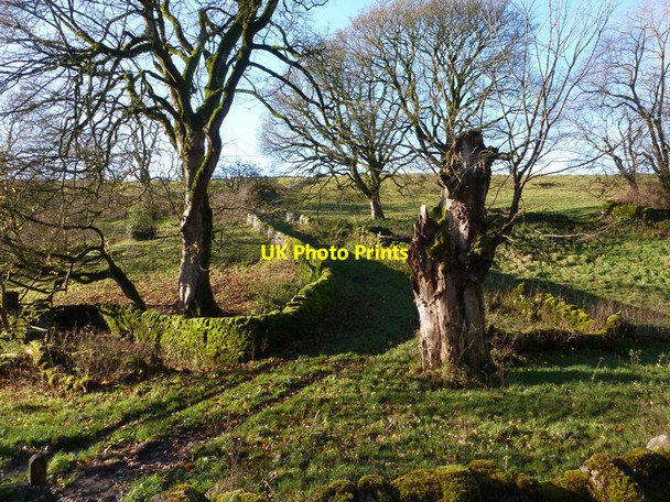 Photo 6"x4" Walled path at Dalehead Wheston c2012