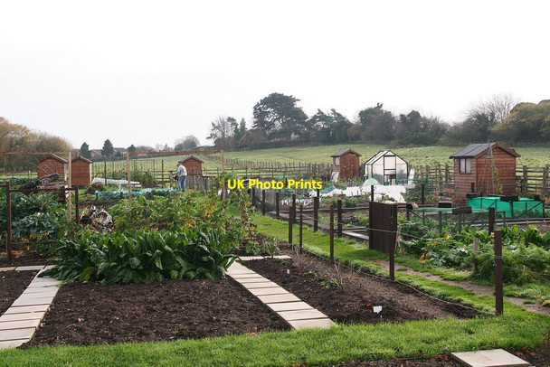Photo 6"x4" Keelby Allotment Society Keelby c2012