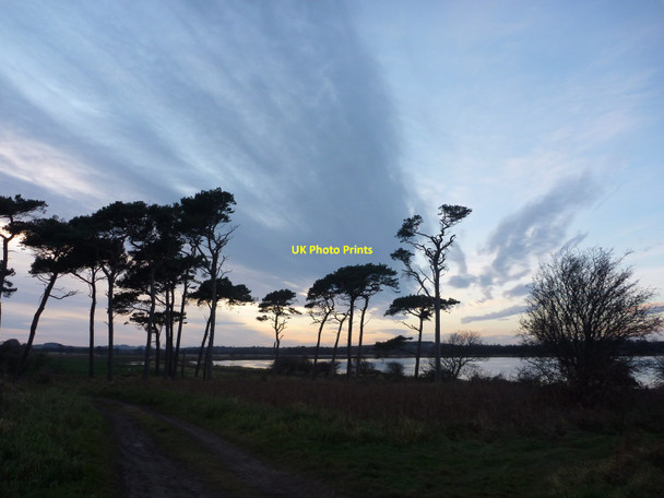 Photo 6"x4" Coastal East Lothian : On Track At Hedderwick West Barns c2012