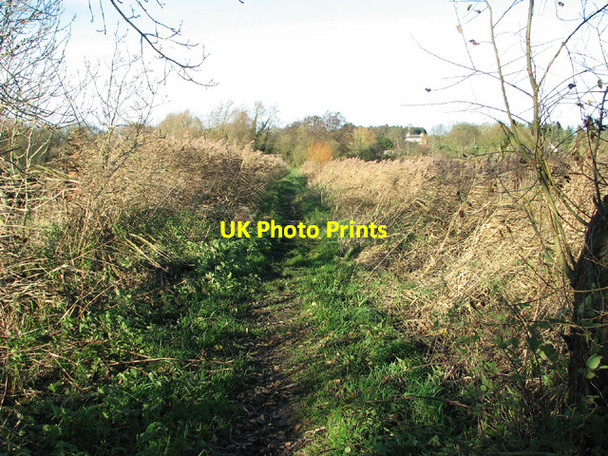 Photo 6"x4" Narrow path along Geldeston Dyke Geldeston c2012