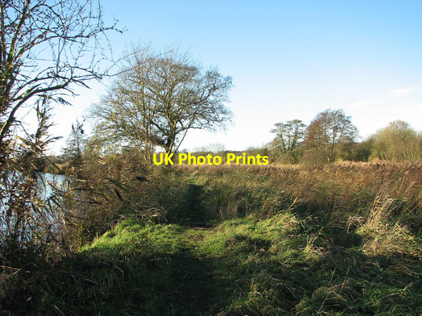 Photo 6"x4" Footpath to Geldeston along the River Waveney Geldeston c2012